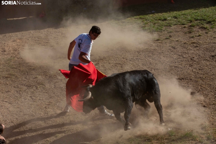 Lavalenguas 2026