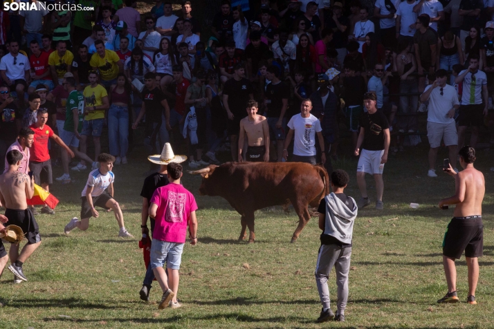 Lavalenguas 2026