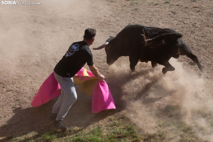 Lavalenguas 2026