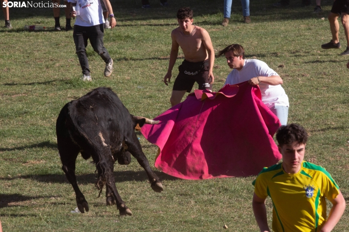 Lavalenguas 2026