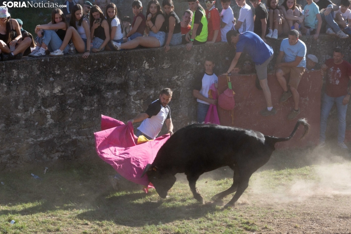 Lavalenguas 2026