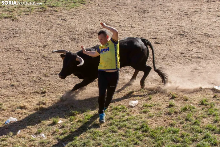 Lavalenguas 2026