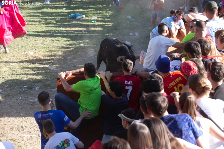 Lavalenguas 2026