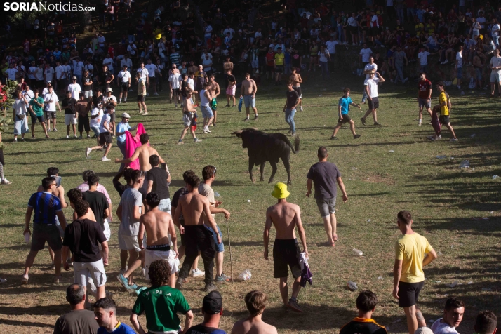 Lavalenguas 2026