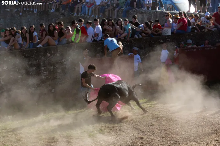 Lavalenguas 2026