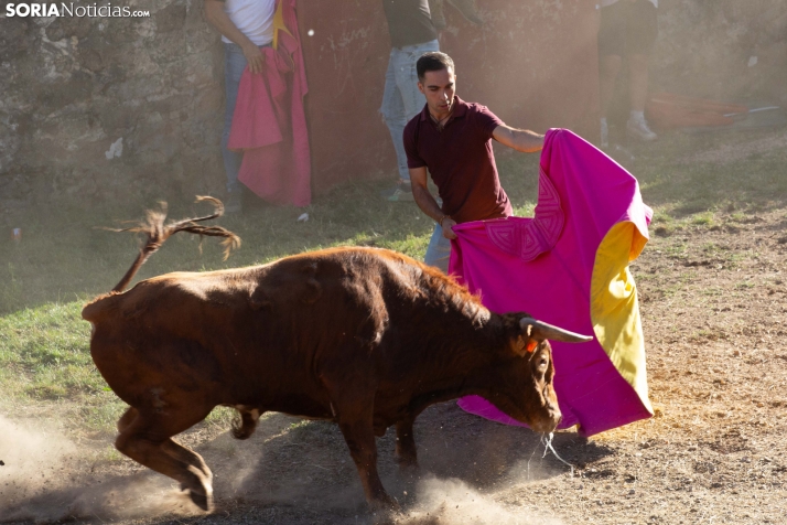 Lavalenguas 2026