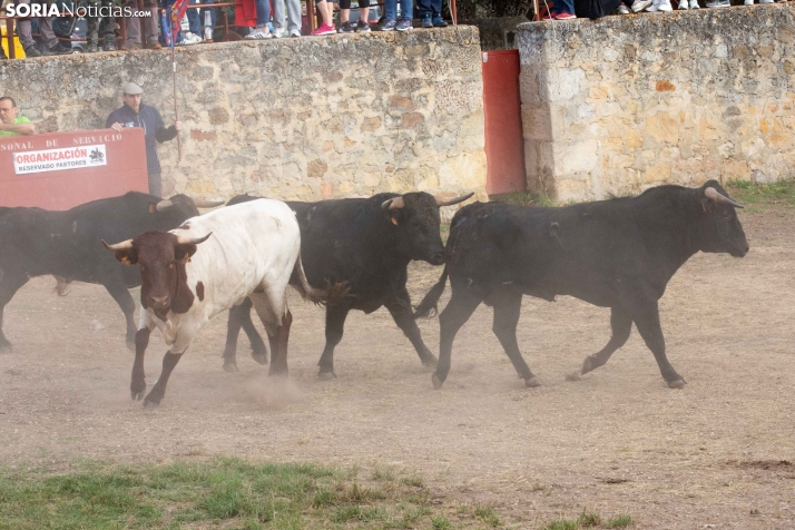 ‘Lavalengüillas’ 2026