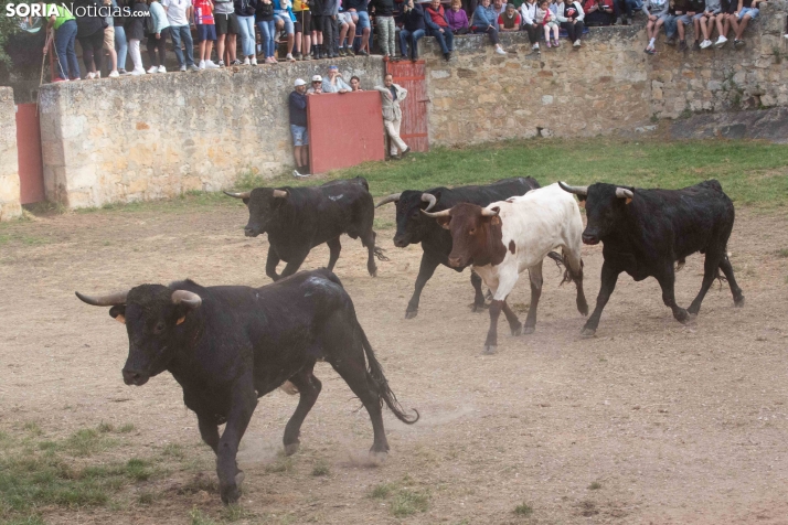 ‘Lavalengüillas’ 2026