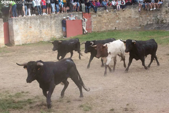 ‘Lavalengüillas’ 2026
