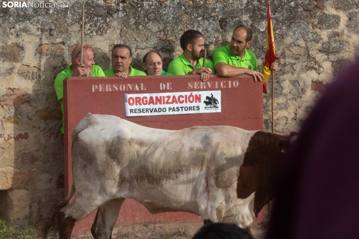 ‘Lavalengüillas’ 2026