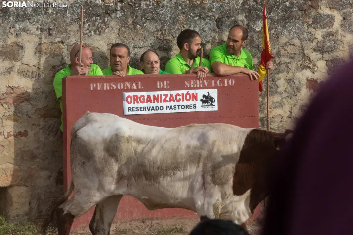 ‘Lavalengüillas’ 2026