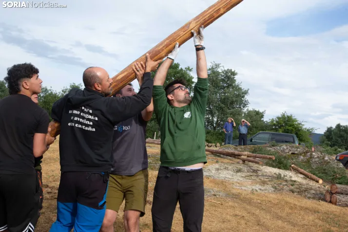 Pingada de Mayo en Covaleda 2026