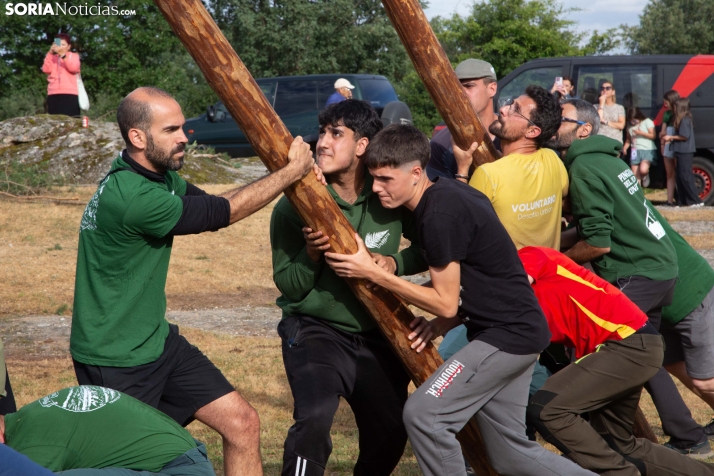 Pingada de Mayo en Covaleda 2026