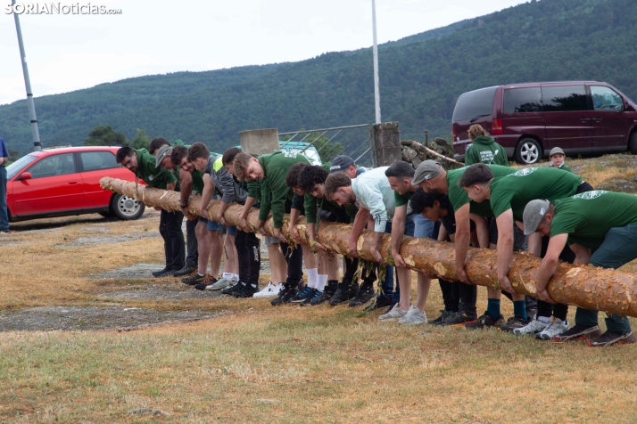 Pingada de Mayo en Covaleda 2026