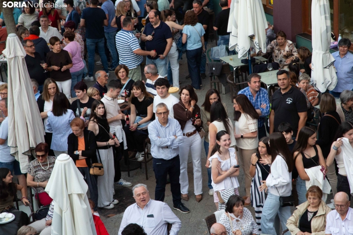 Pregón Virgen de los Milagros 2026
