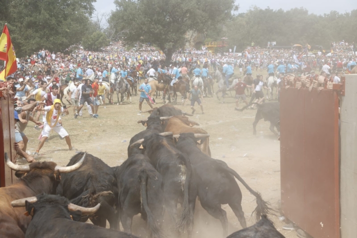 La Saca más cruenta de los últimos años deja 10 toros en la plaza, 63 atenciones y 15 traslados al Hospital Santa Bárbara