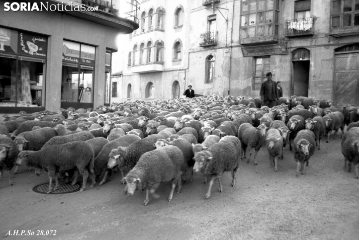Vives Soriano, Salvador. Trashumancia de ovejas merinas en C/Santo Tomé esquina Plaza Condes de Lérida, Soria. 1967. Archivo Histórico Provincial de Soria, Fondo Vives, Signatura 28072 .