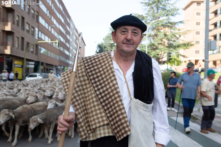 Última trashumancia merina