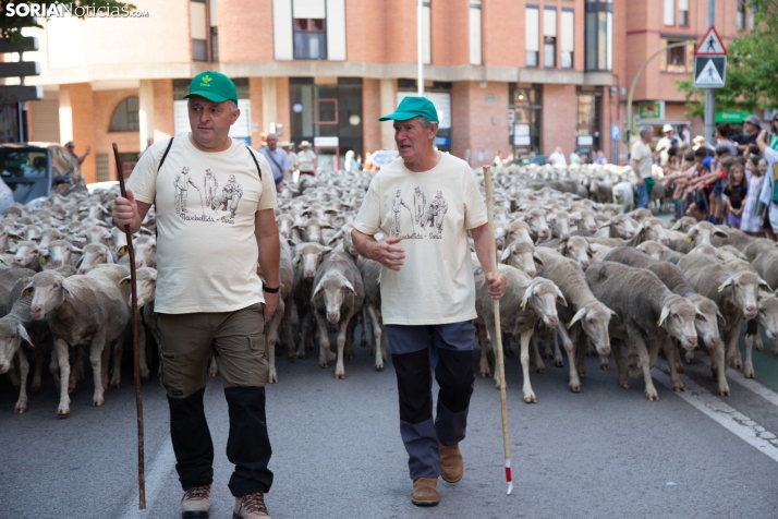 Última trashumancia merina