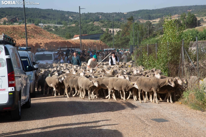 Última trashumancia merina