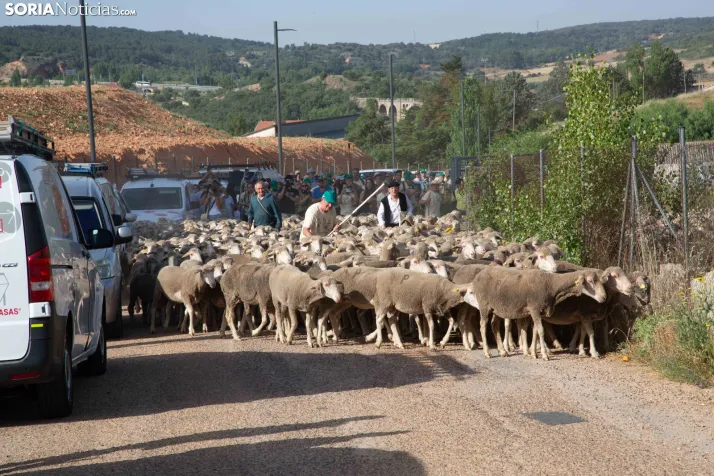 Última trashumancia merina