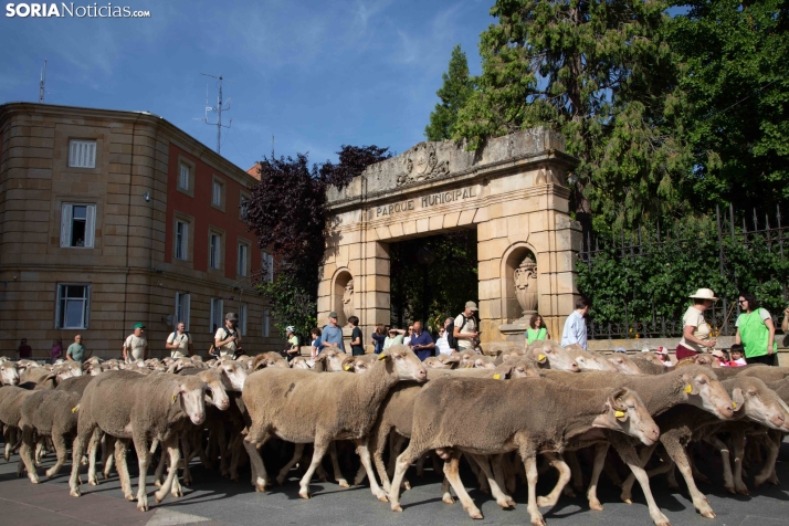Última trashumancia merina