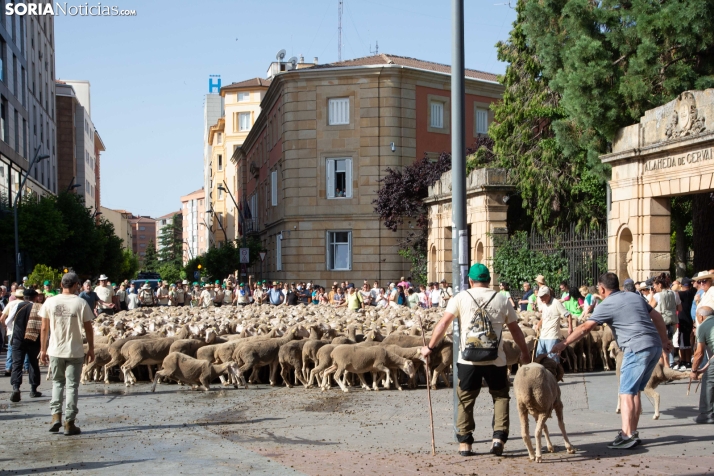 Última trashumancia merina