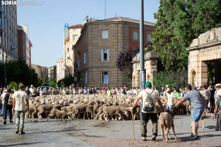 Última trashumancia merina