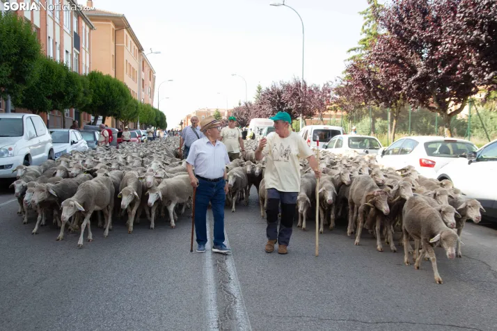 Última trashumancia merina