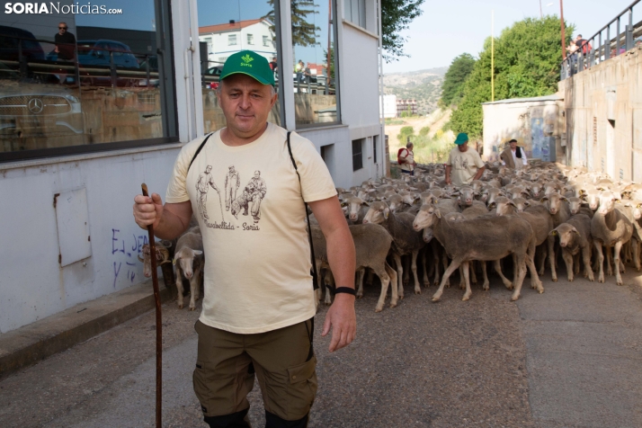 Última trashumancia merina