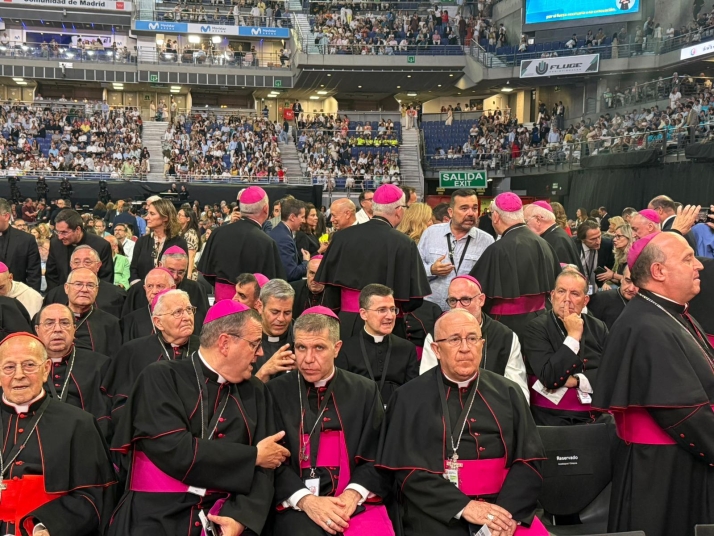 Alrededor de 160 diocesanos de Osma-Soria acompañan al Papa León XIV en Madrid