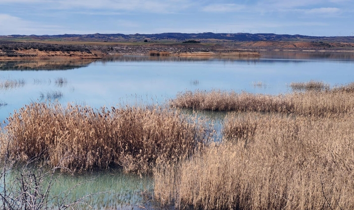 El embalse de Monteagudo, al 85,6 %