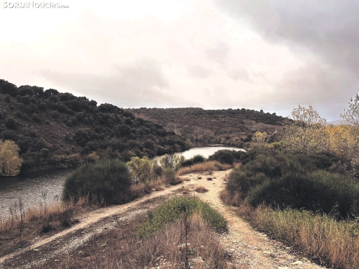 Gaya Nuño | La Soria de los caminos polvorientos