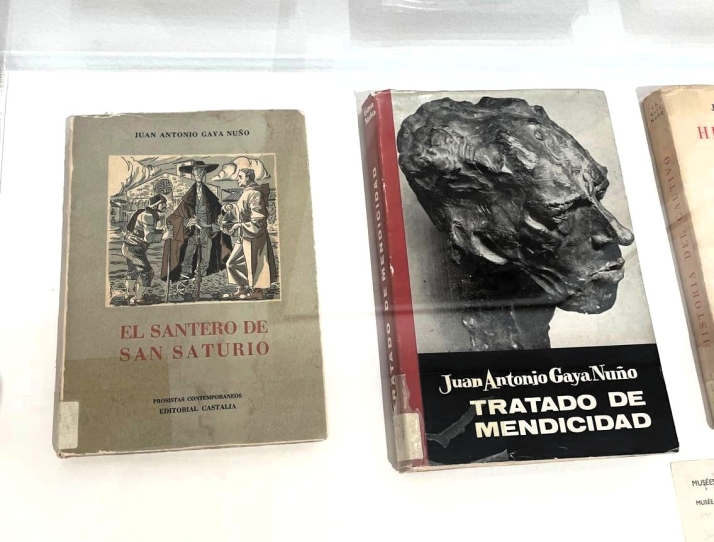 El diccionario perdido de Gaya Nuño