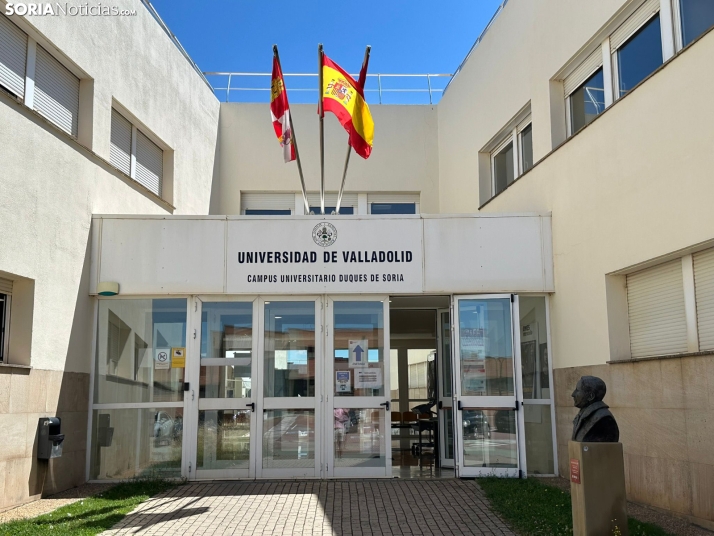 Superar el último bache: la recompensa de la constancia en la PAU de Soria