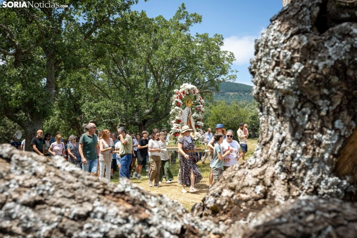 Almarza celebra su fiesta campestre más histórica: la Romería de Nuestra Señora de los Santos Nuevos