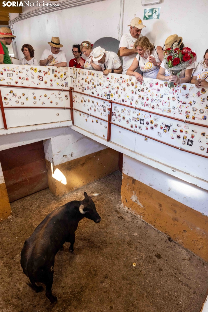 Viernes de Toros 2026: Novillada de tarde./ Viksar Fotografía
