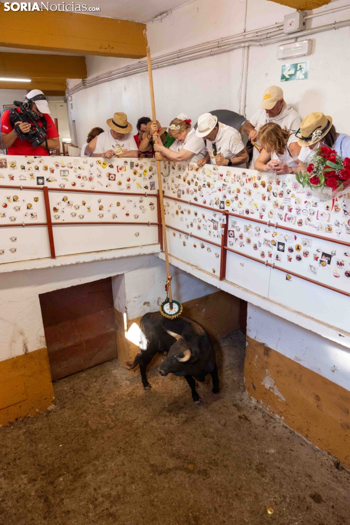 Viernes de Toros 2026: Novillada de tarde./ Viksar Fotografía