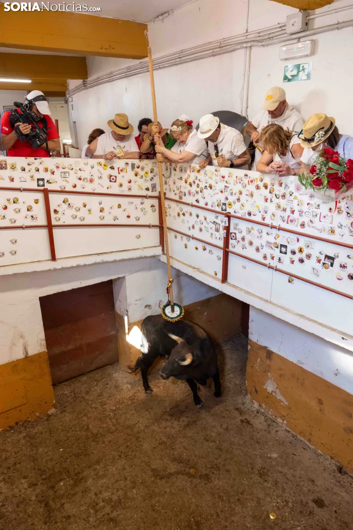 Viernes de Toros 2026: Novillada de tarde./ Viksar Fotografía