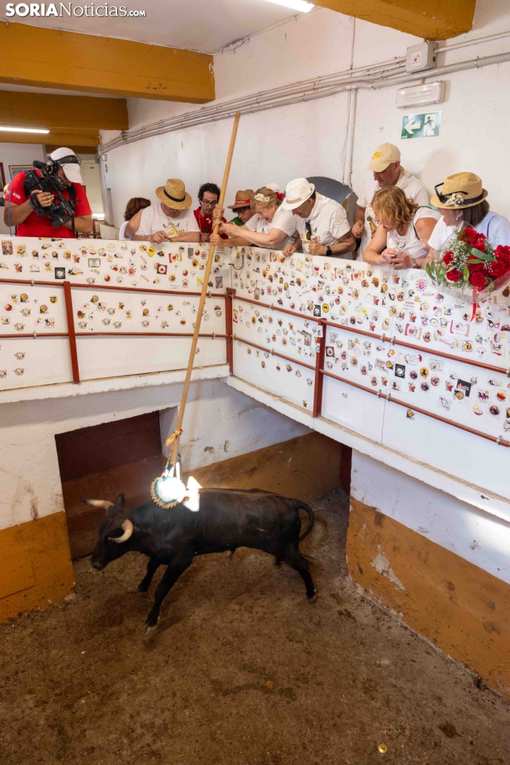 Viernes de Toros 2026: Novillada de tarde./ Viksar Fotografía