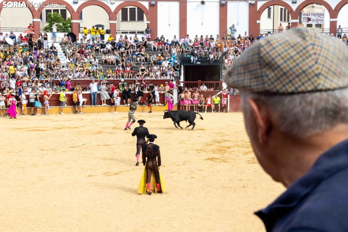 Viernes de Toros 2026: Novillada de tarde./ Viksar Fotografía