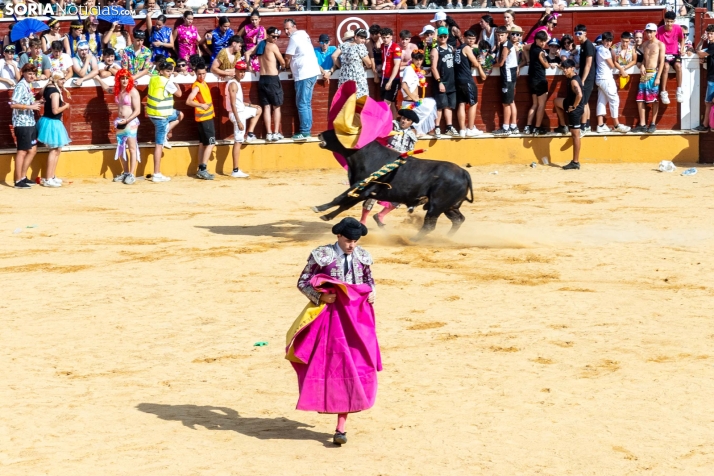 Viernes de Toros 2026: Novillada de tarde./ Viksar Fotografía