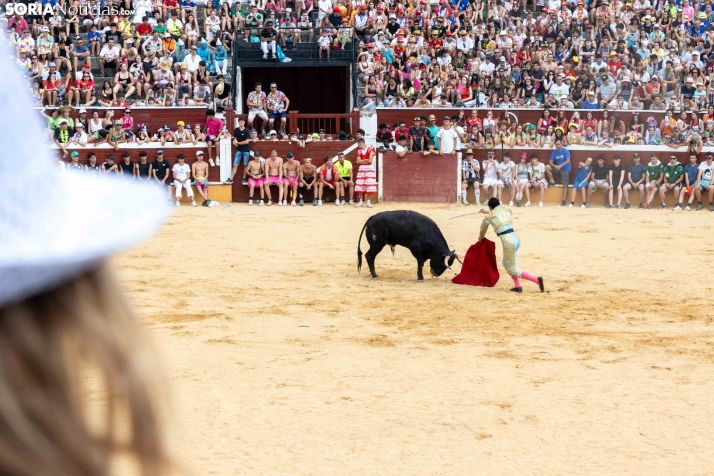 Viernes de Toros 2026: Novillada de tarde./ Viksar Fotografía
