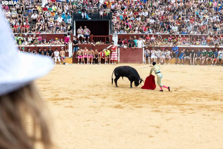 Viernes de Toros 2026: Novillada de tarde./ Viksar Fotografía