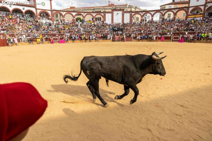 Viernes de Toros 2026: Novillada de tarde./ Viksar Fotografía
