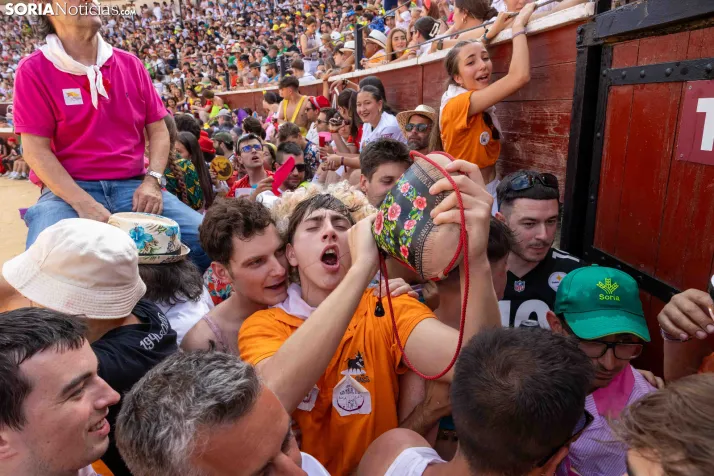 Viernes de Toros 2026: Novillada de tarde./ Viksar Fotografía