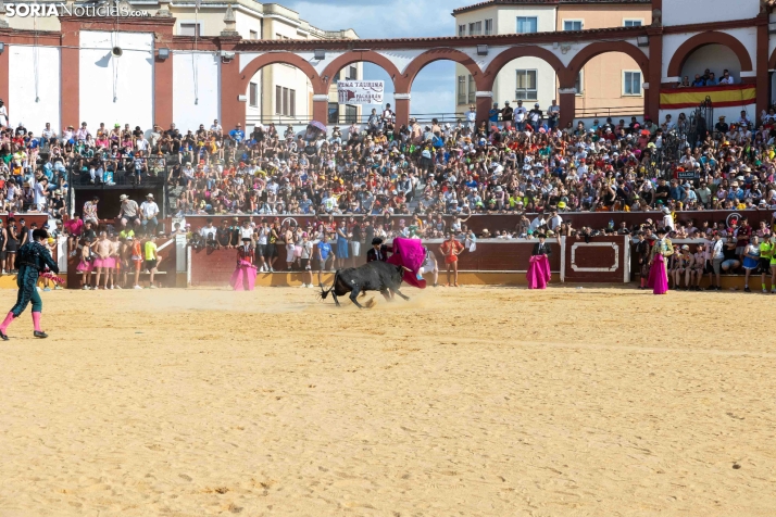 Viernes de Toros 2026: Novillada de tarde./ Viksar Fotografía