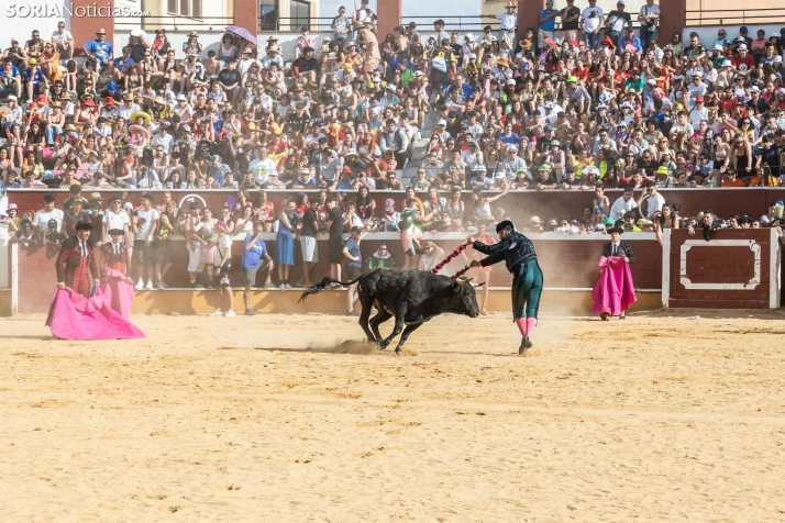 Viernes de Toros 2026: Novillada de tarde./ Viksar Fotografía