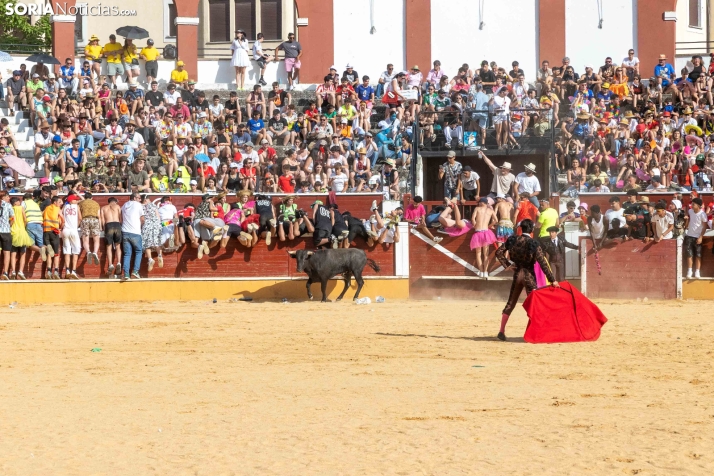 Viernes de Toros 2026: Novillada de tarde./ Viksar Fotografía
