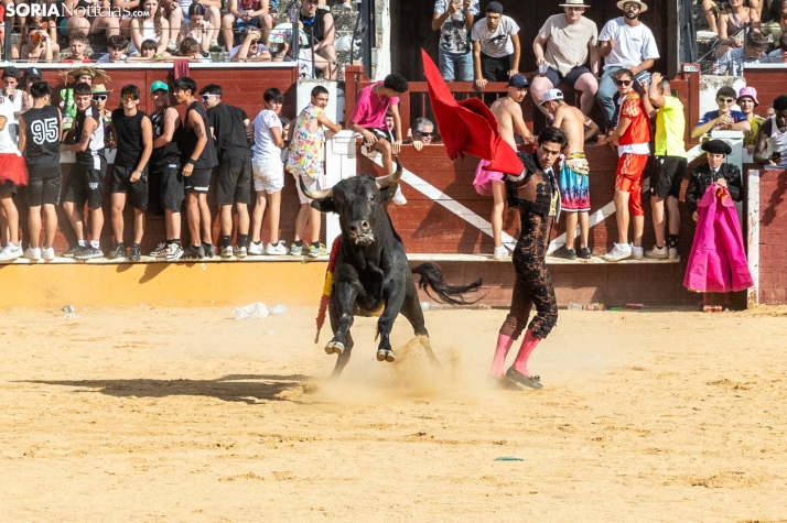 Viernes de Toros 2026: Novillada de tarde./ Viksar Fotografía